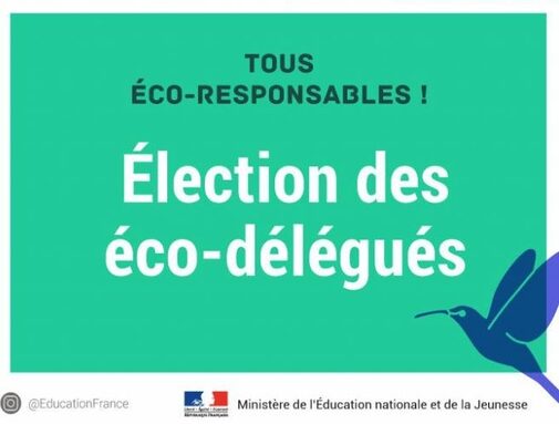 Vote-éco-délégués.jpg